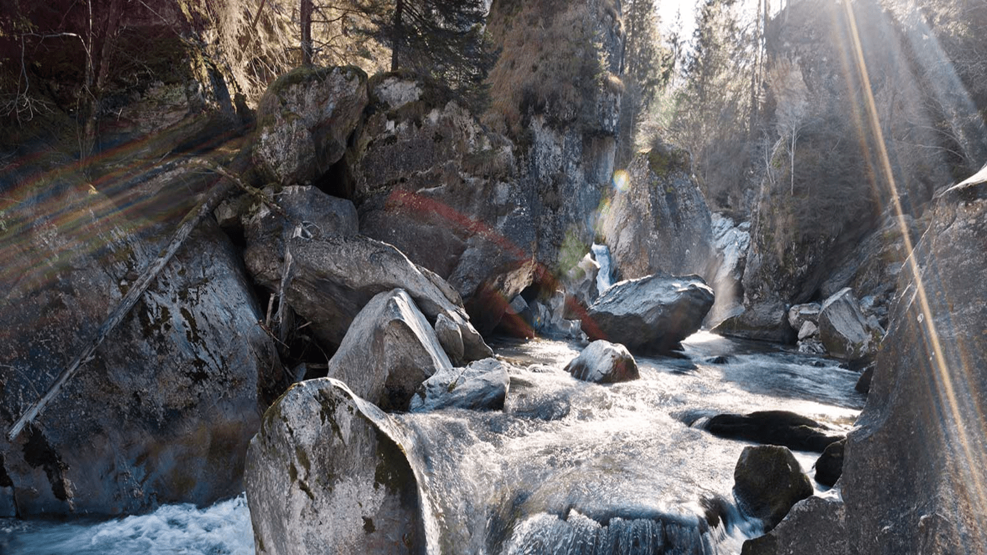 Rivière de montagne