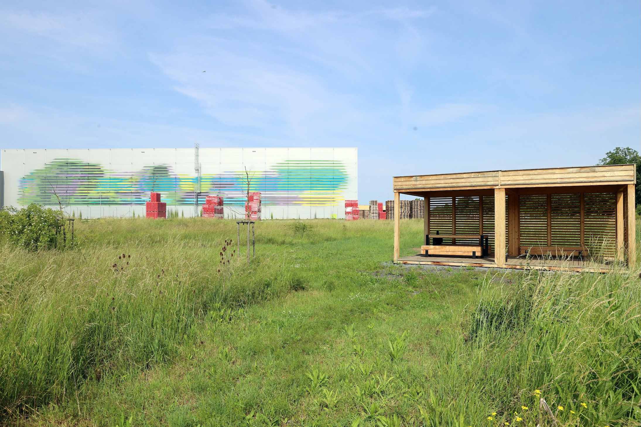 Mokřad Coca-Cola se stal domovem desítek druhů ptáků a naučnou stezku doplnil umělecký mural