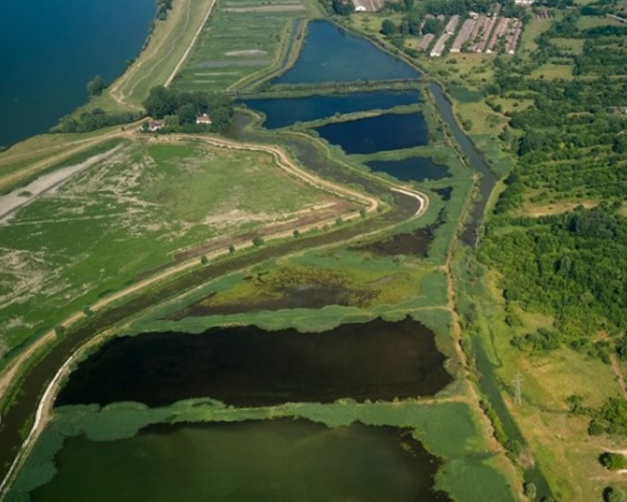 Luftfoto af grønne områder og vand ovenfra