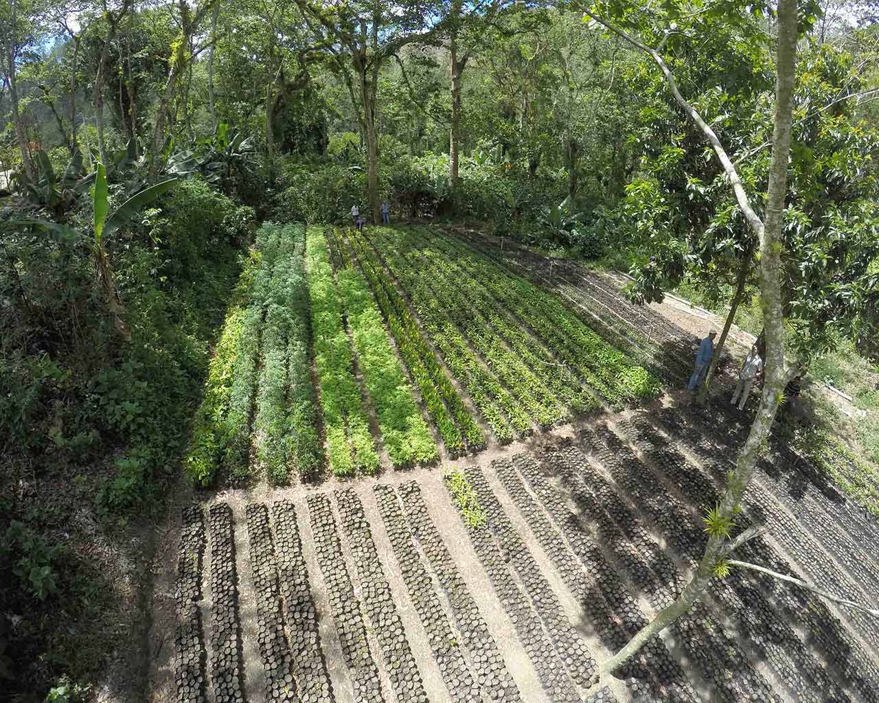 Centro de Recursos sobre Sostenibilidad