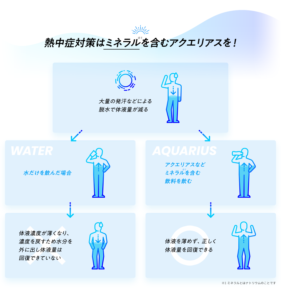 熱中症対策はミネラルを含むアクエリアスを！ 大量の発汗などによる 脱水で体液量が減る 水だけを飲んだ場合体液濃度が薄くなり、濃度を戻すため水分を外に出したい液量は回復できていない アクエリアスなどミネラルを含む飲料を飲む 体液を薄めず、正しく体液量を回復できる