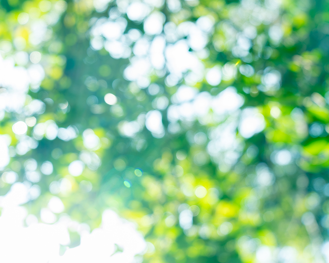 水源保全プロジェクト賛同チェーン