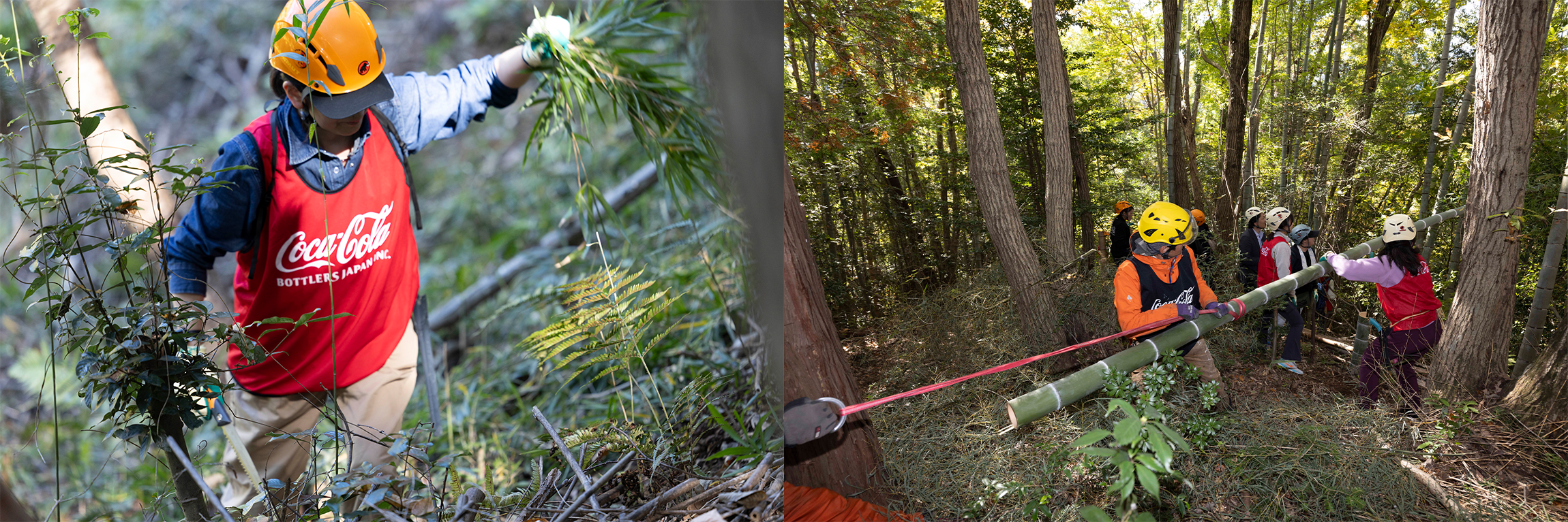 笹刈り 「森に学ぼう」プロジェクト in 東京はちおうじ2025114