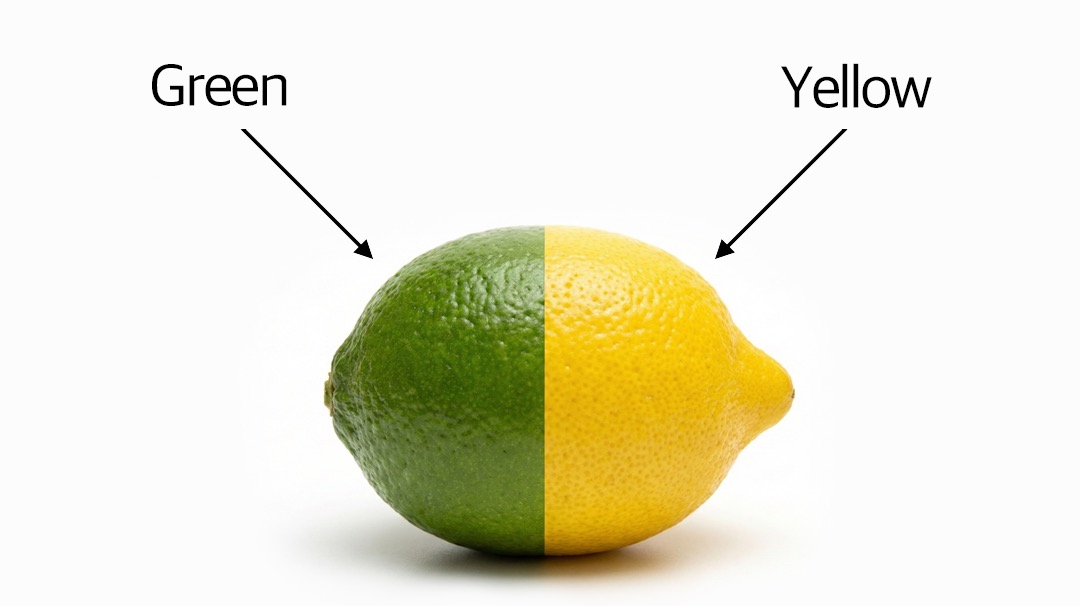 라임의 초록색과 레몬의 노란색이 만나 스프라이트를 상징하는 색을 표현한 이미지